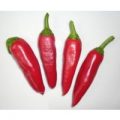 Firecracker Long Chili Samen