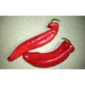 Ramiro Chili Samen