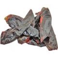Guajillo Chili ganz mit Stiel